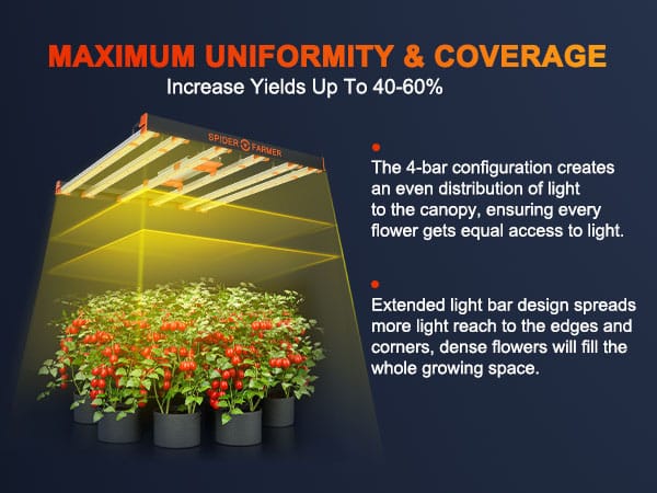 SE5000 Coverage and High yields