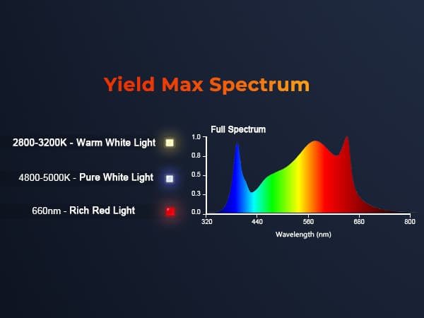 Spectrum Ratio of SE5000 LED