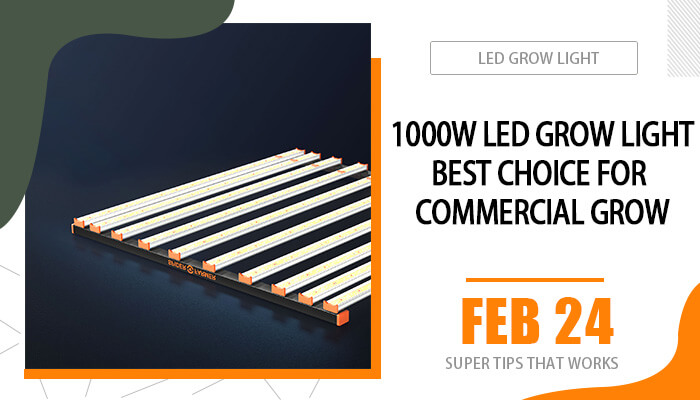 1000w led grow light Best choice for commercial grow