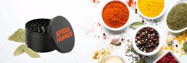 Use buds in the right way bud grinder help you