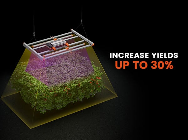 Spider Farmer UV & IR LED Grow Light Bar-M-A9