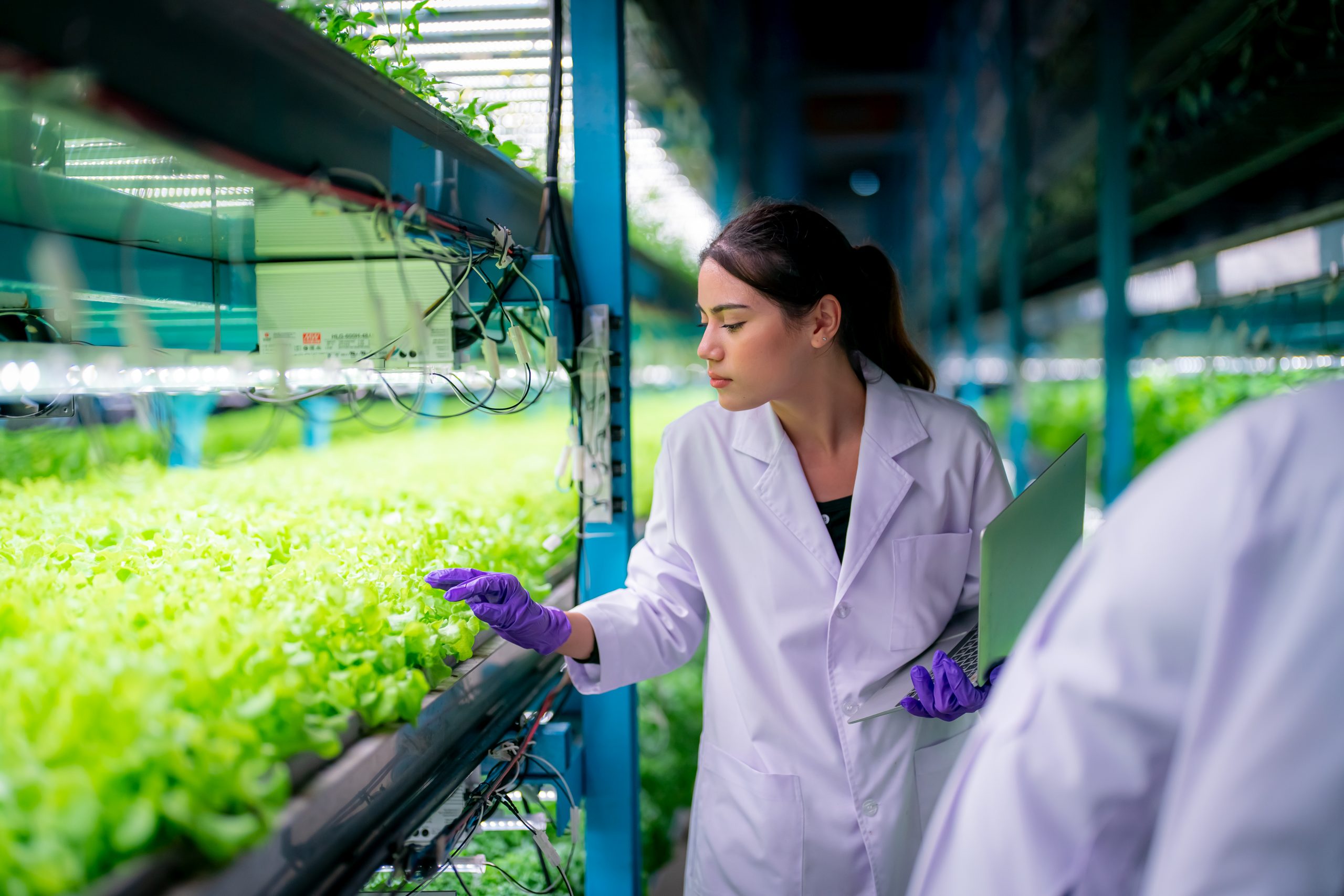 hydroponics system