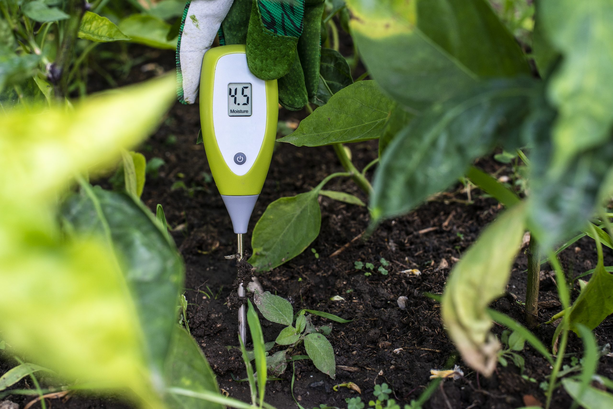 Moisture meter tester in soil