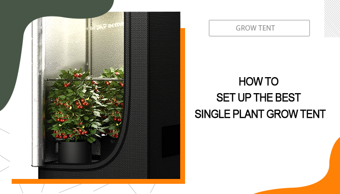 single plant grow tent