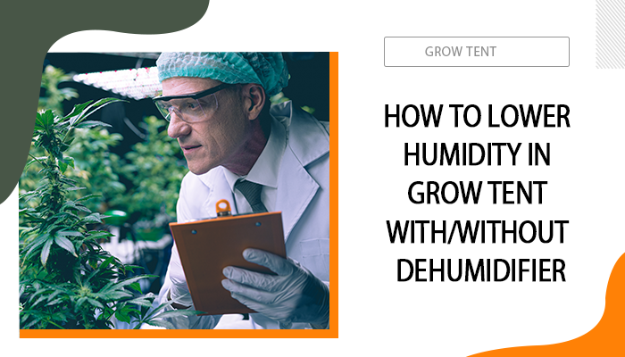 How to Lower Humidity in Grow Tent with/without Dehumidifier