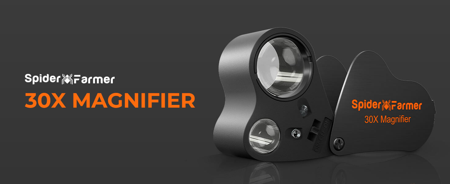 Magnifier With LED Light