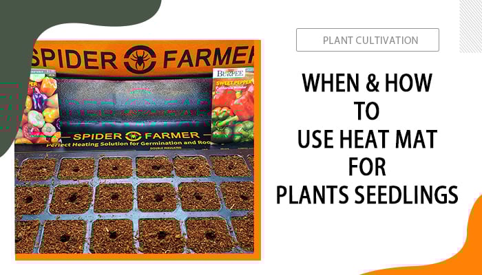 When-and-How-to-Use-Heat-Mat-for-Plants-Seedlings