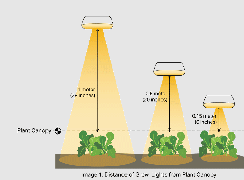 grow light distance chart