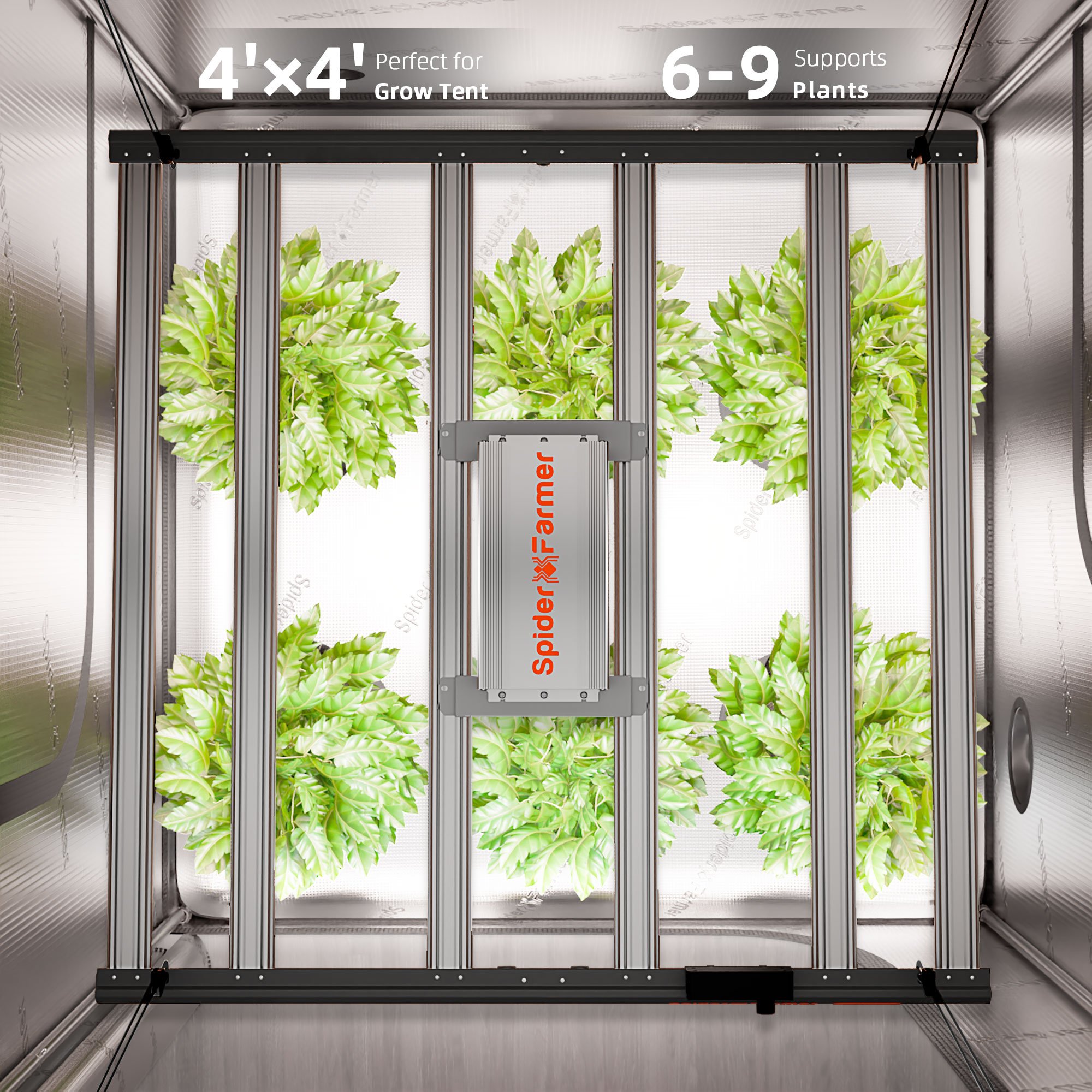 Grow lights for 4x4 tent new arrivals