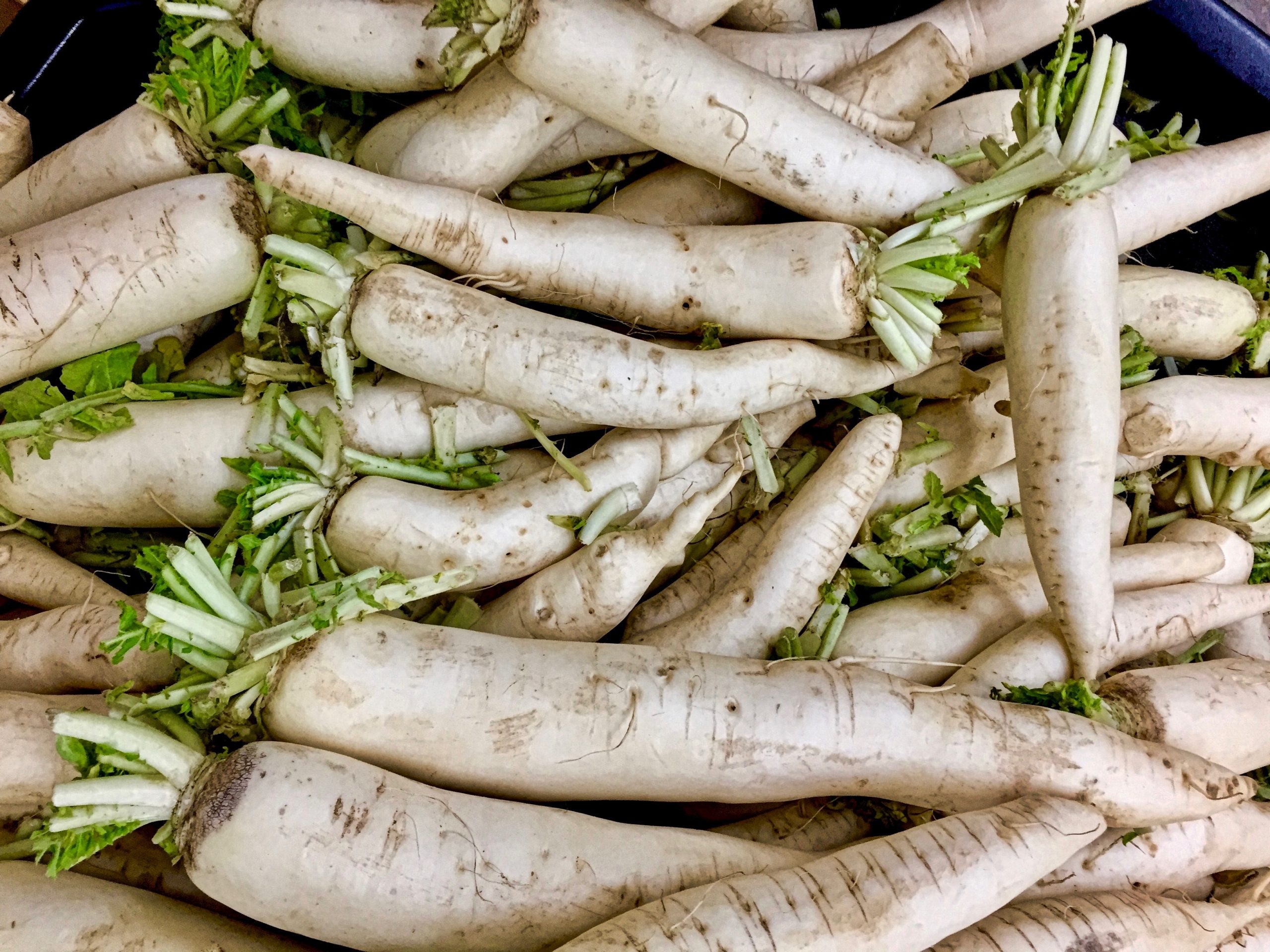 parsnips