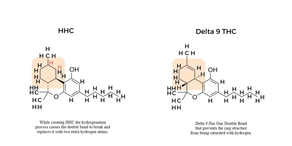 hhc-vs-thc