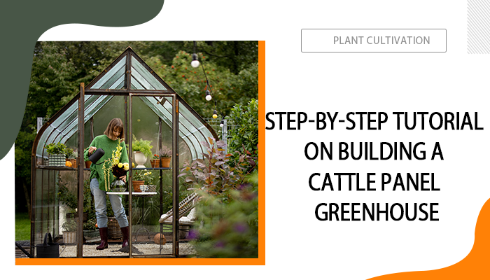 How to Build a Cattle Panel Greenhouse