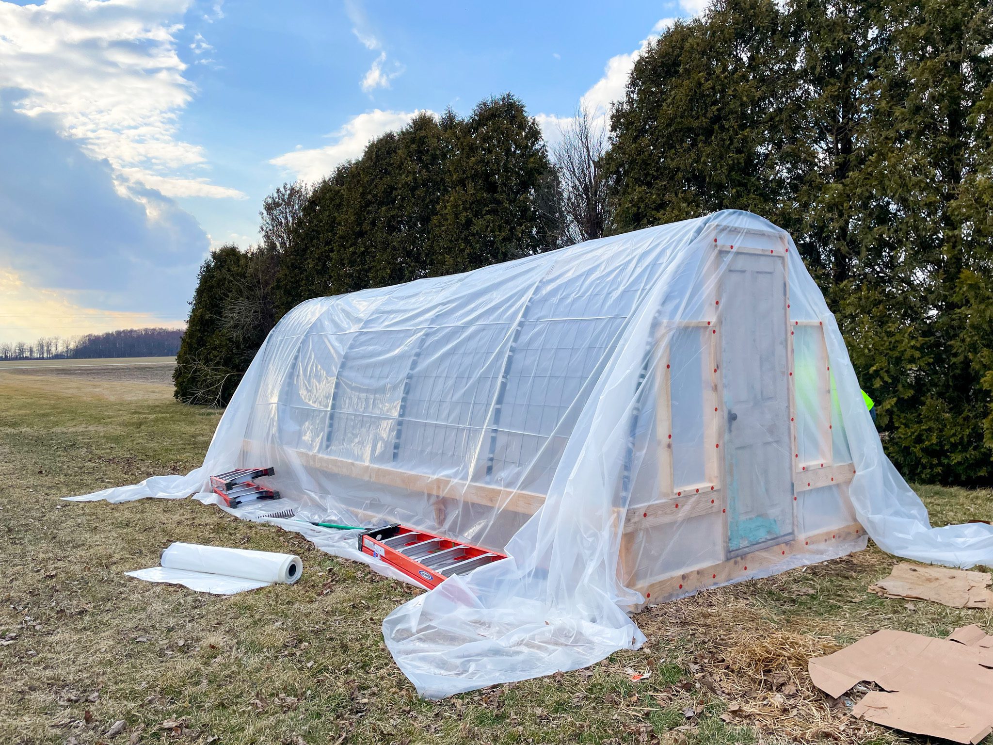 cattle panel greenhosue covered with plastic