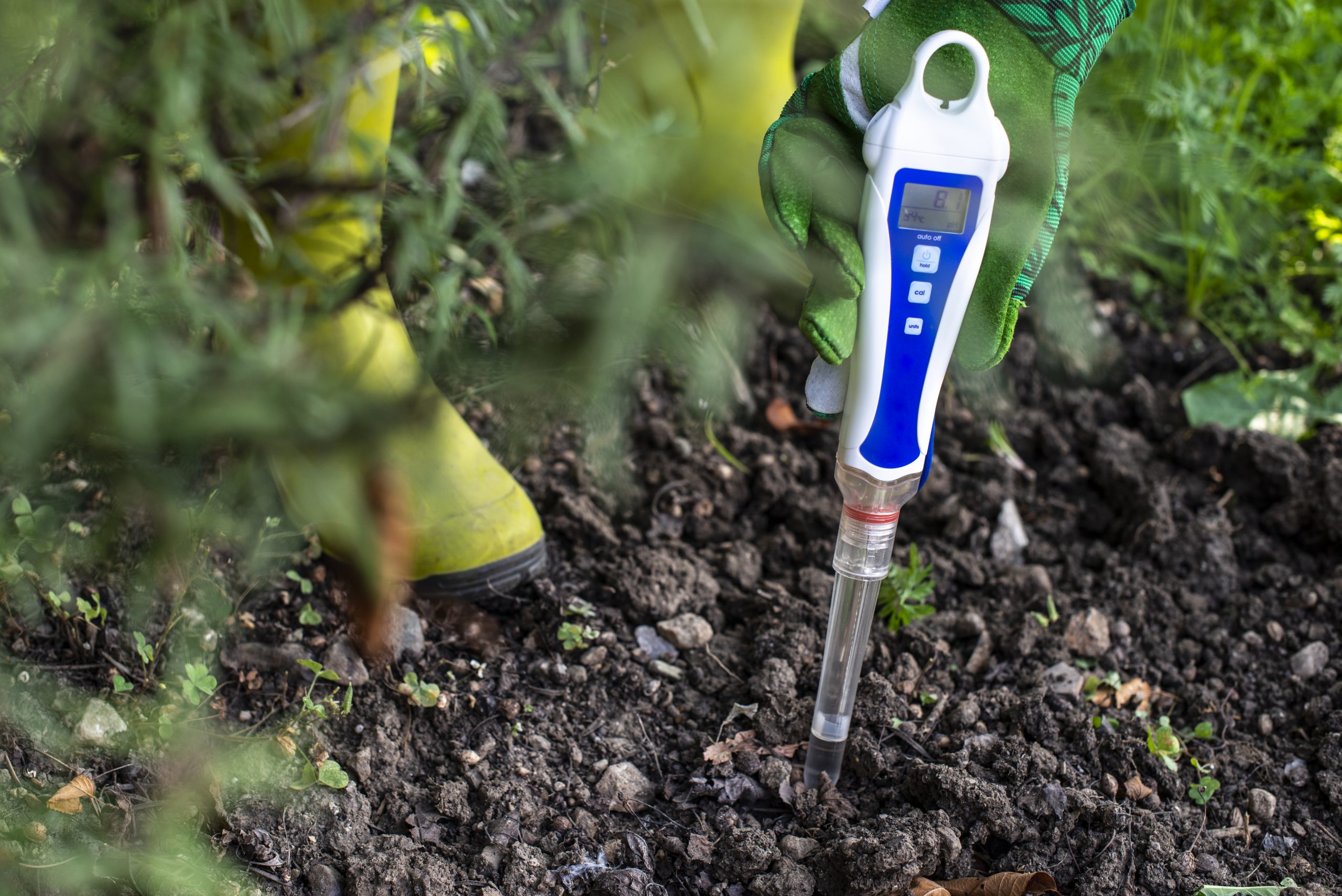 PH meter tester in soil.