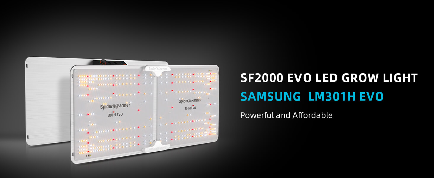 SF2000 Samsung lm301H EVO led grow light