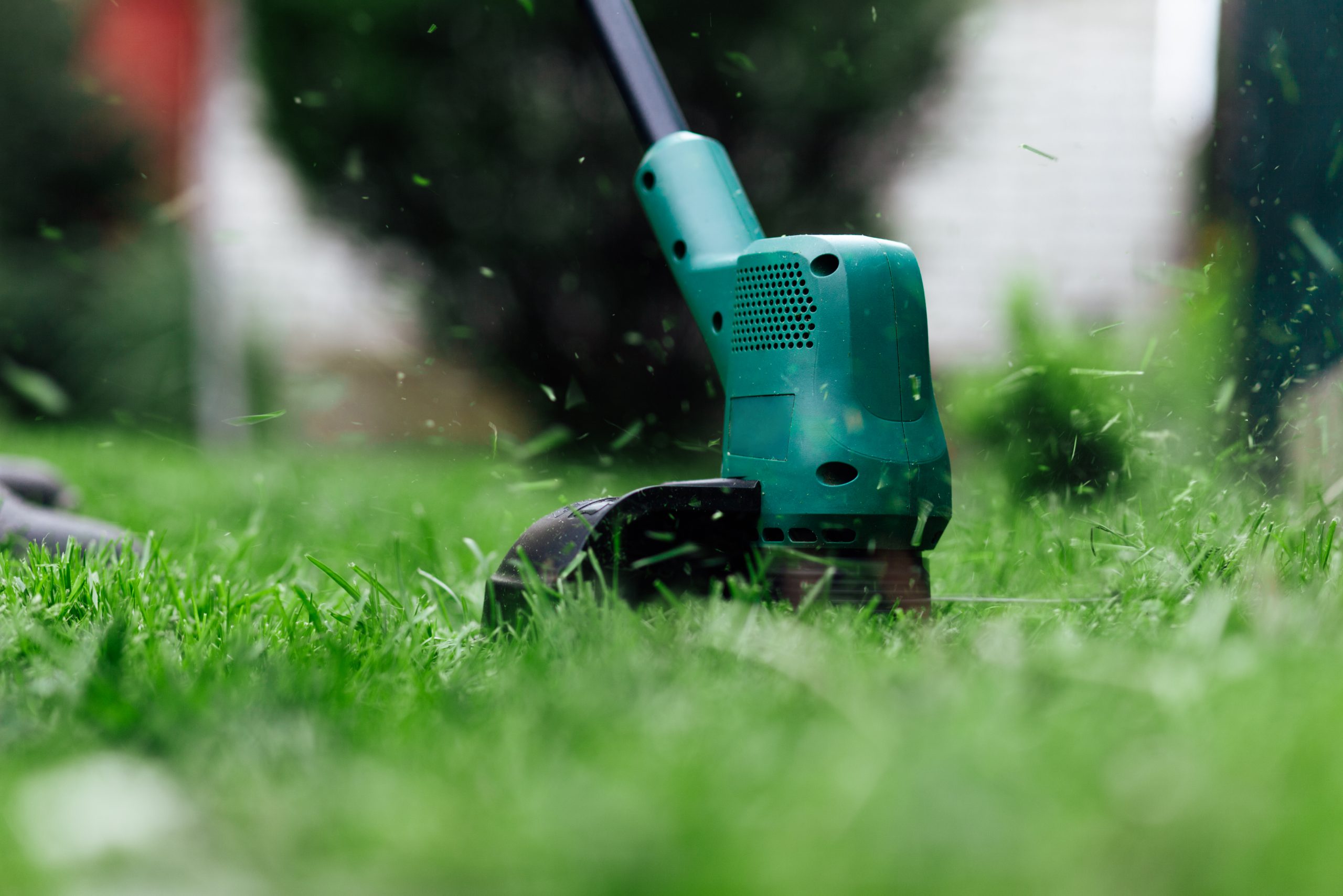 Boxwood Trimmer