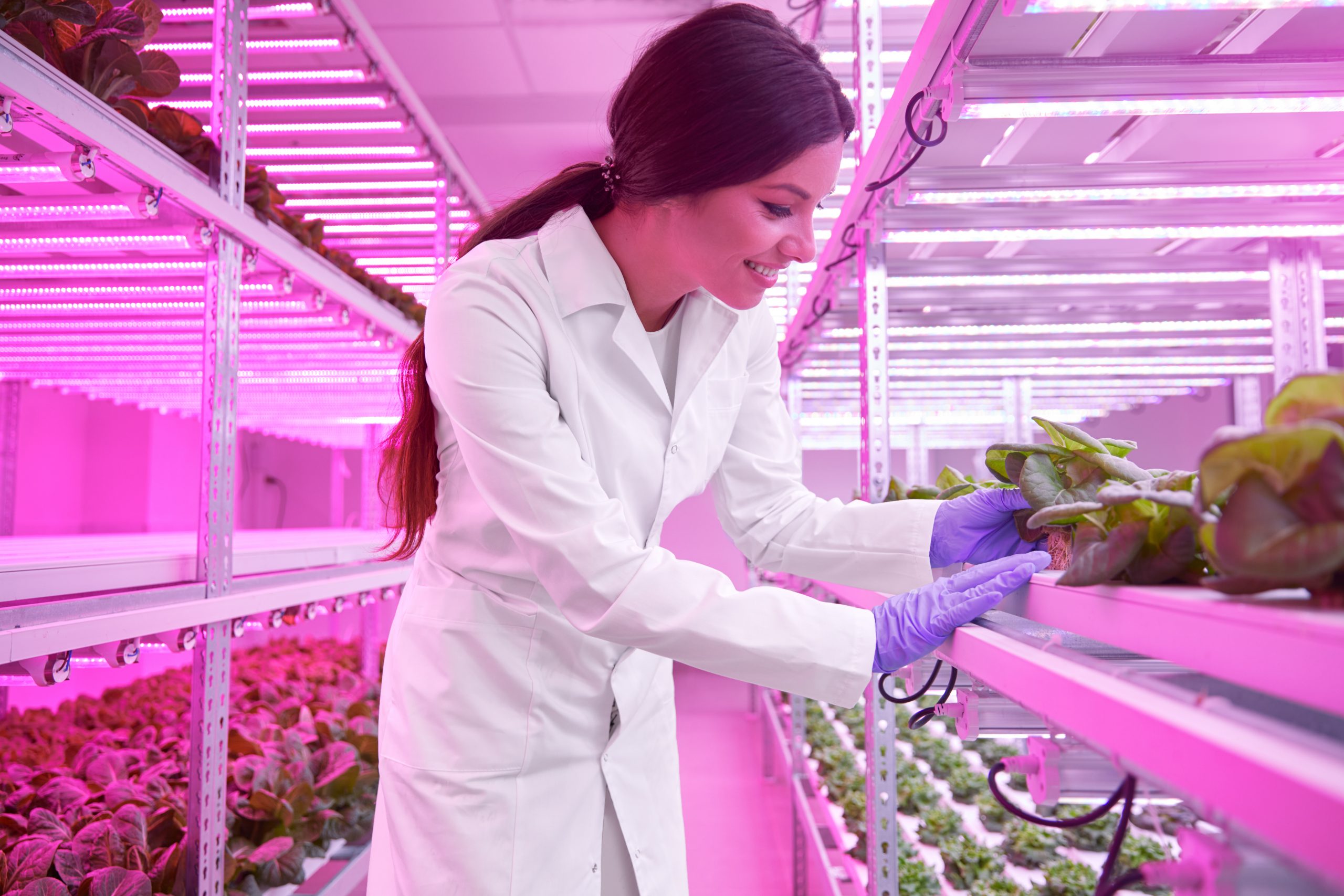 use UV lights to grow plants