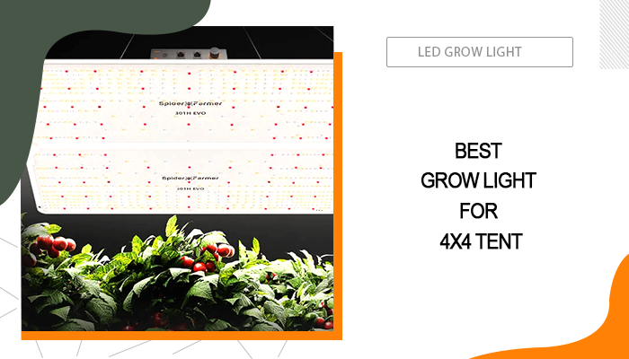 Best Grow Light for 4x4 Tent