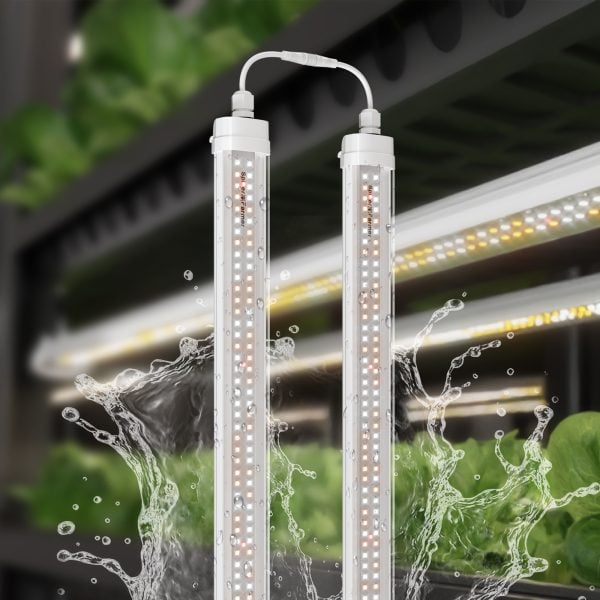 SF600 Vegetable Grow Light | Indoor Plants | Spider Farmer