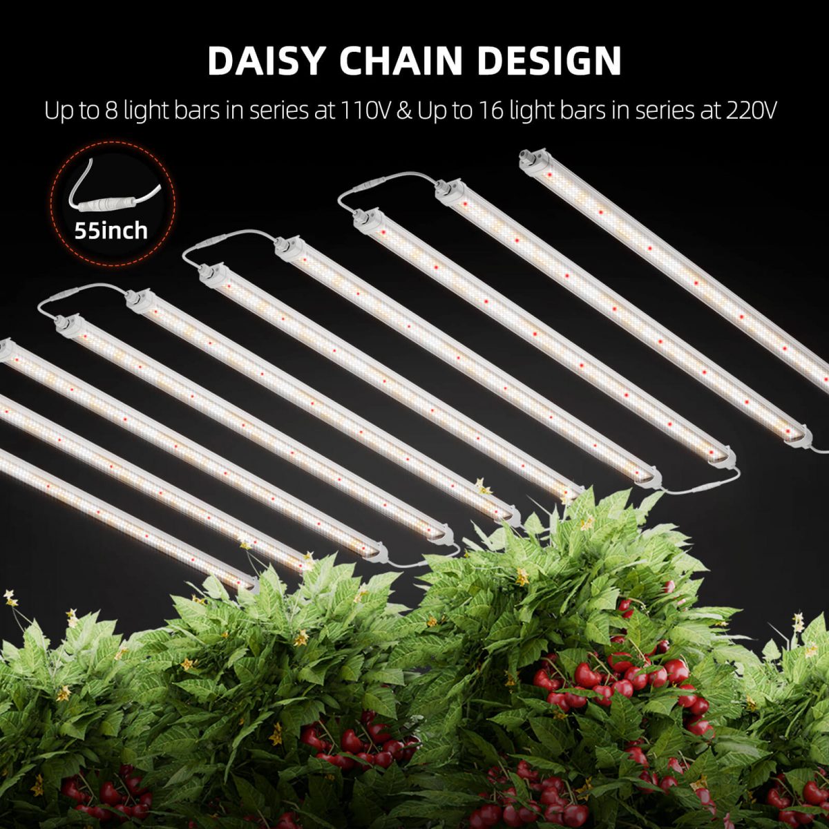 Spider Farmer Glow80 80W grow light with daisy chain design, allowing multiple lights to be linked together for efficient indoor plant growth.