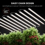 Spider Farmer Glow80 80W grow light with daisy chain design, allowing multiple lights to be linked together for efficient indoor plant growth.