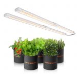 SF Glow 100W LED Grow Light