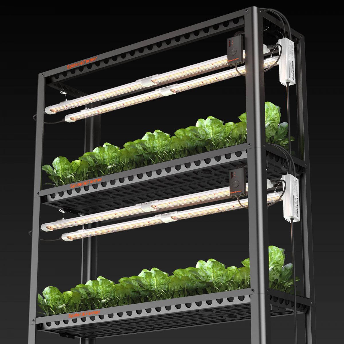 SF Glow led growlight