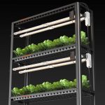SF Glow led growlight