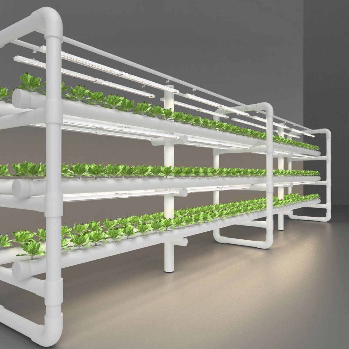 SF Glow led growlight