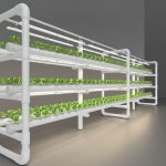SF Glow led growlight