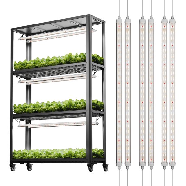 Glow80X3+shelfkit