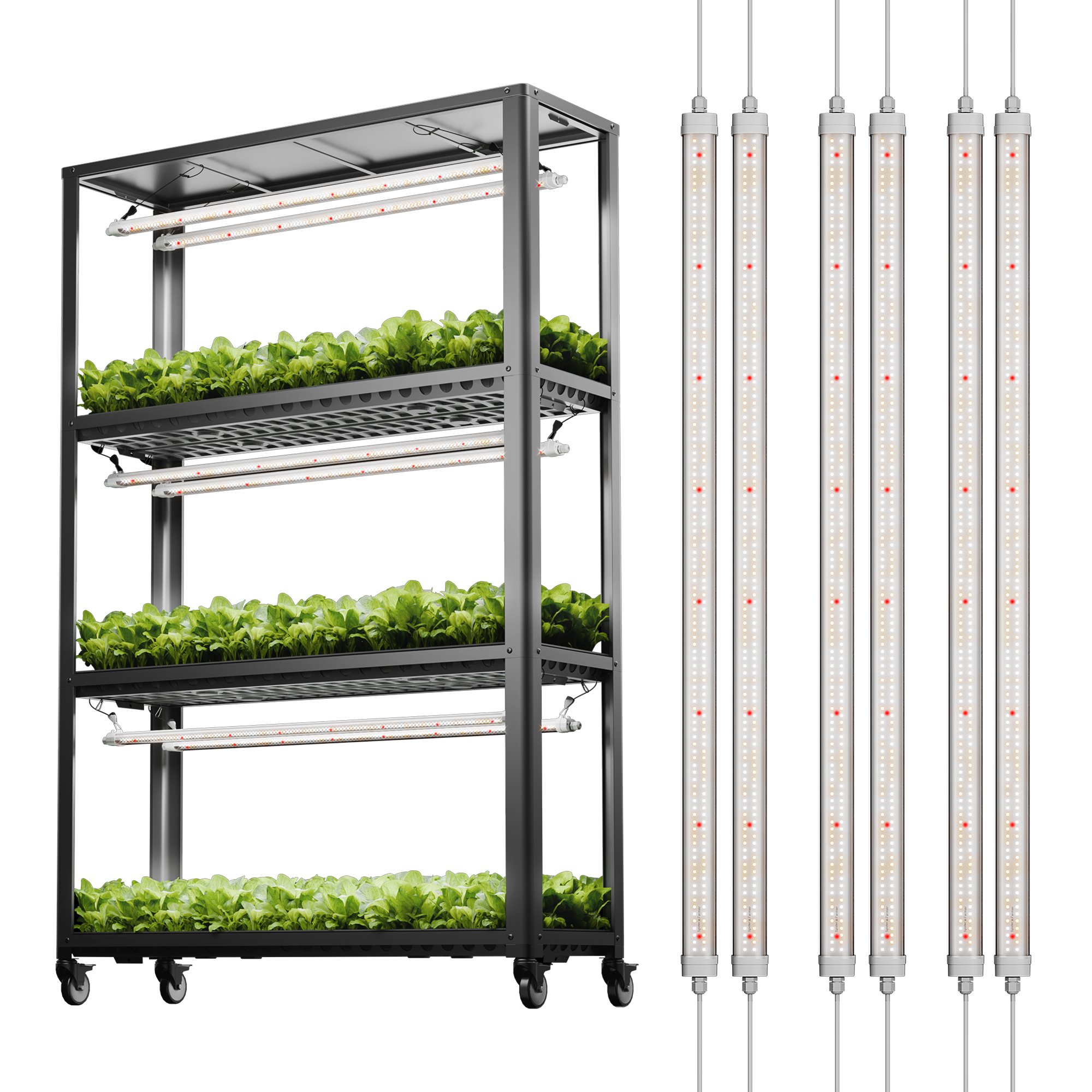 Glow80X3+shelfkit
