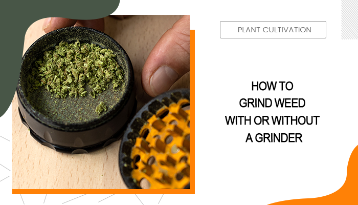 How to Grind Weed