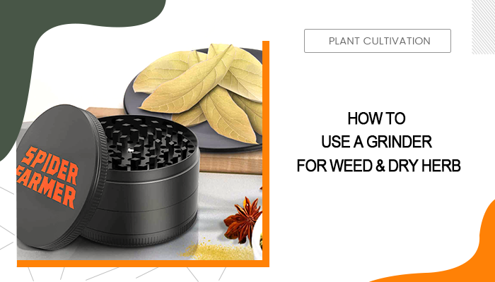 How to Use a Grinder for Weed