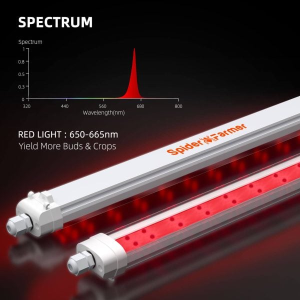 Spider Farmer SF-Glowr40 LED grow light with red spectrum, beneficial for indoor plant growth and flowering.