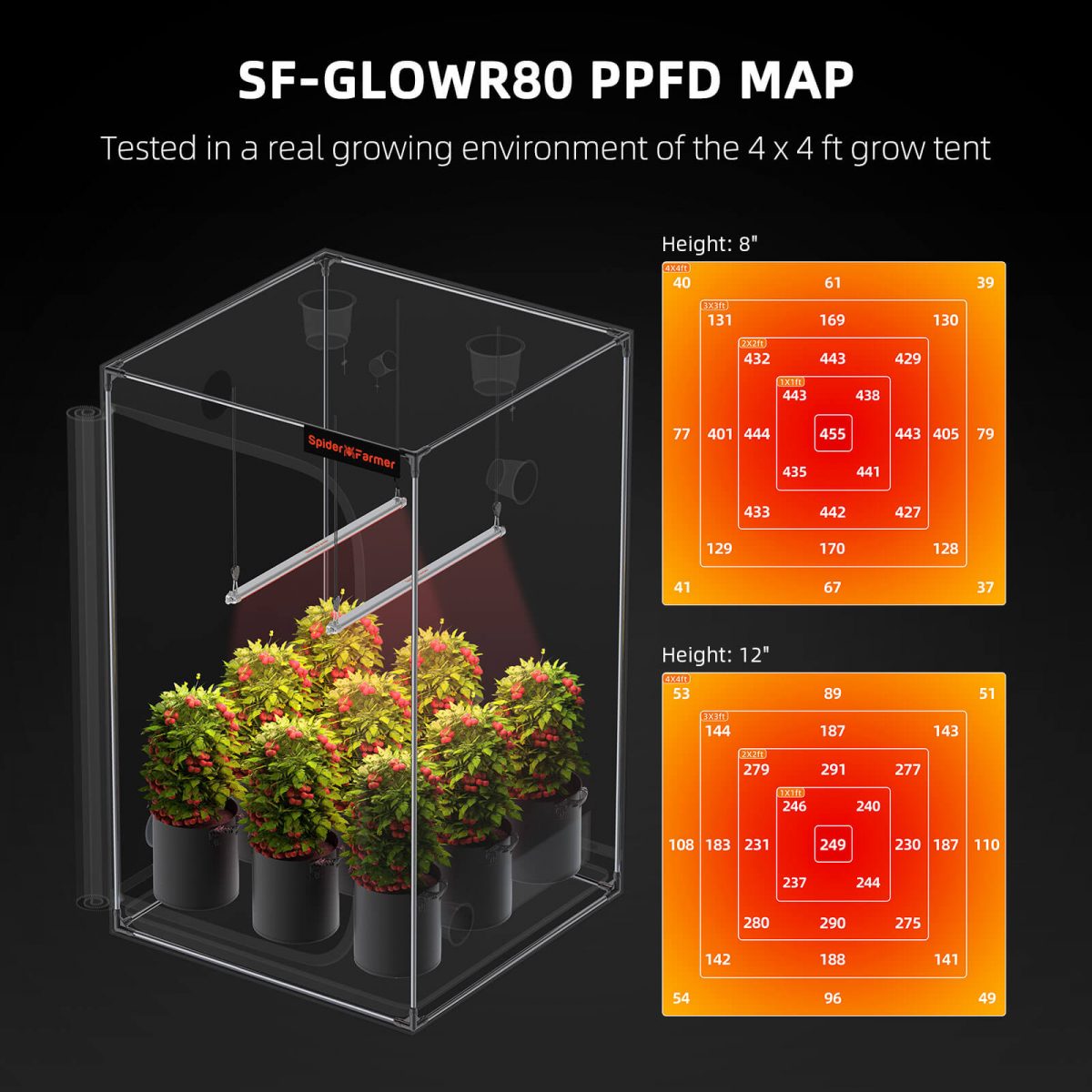 PPFD map of Spider Farmer SF-Glowr80 LED grow light, illustrating light intensity distribution for optimal indoor plant growth.