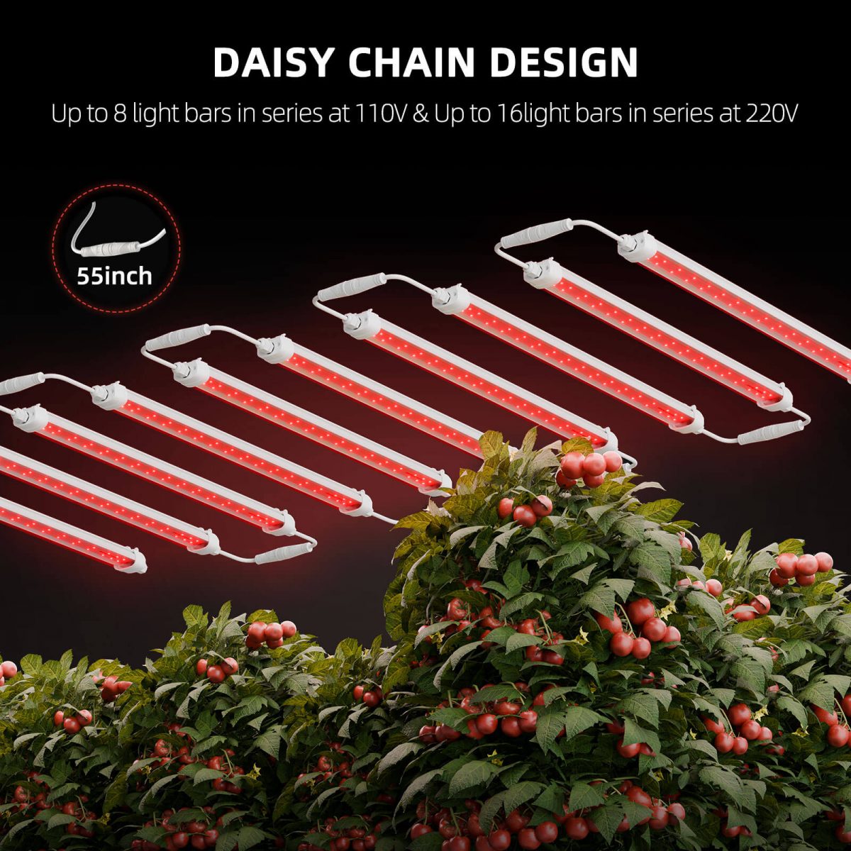 SF-Glowr80 Deep Red Supplemental leddaisy chain design