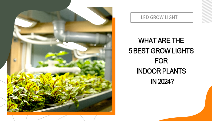 Best Grow Lights for Indoor Plants