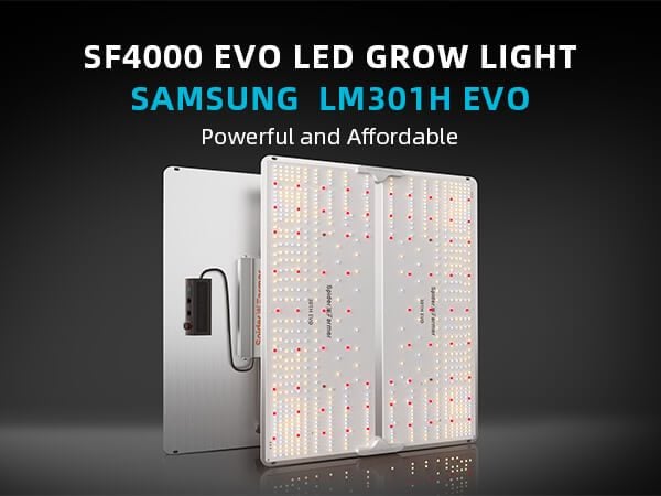 SF4000 samsung lm301H evo light.