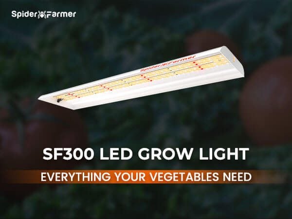 led grow lights 01