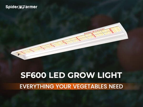 led grow lights 01