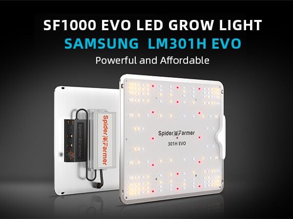 spider farmer SF1000 samsung lm301H evo LED grow light