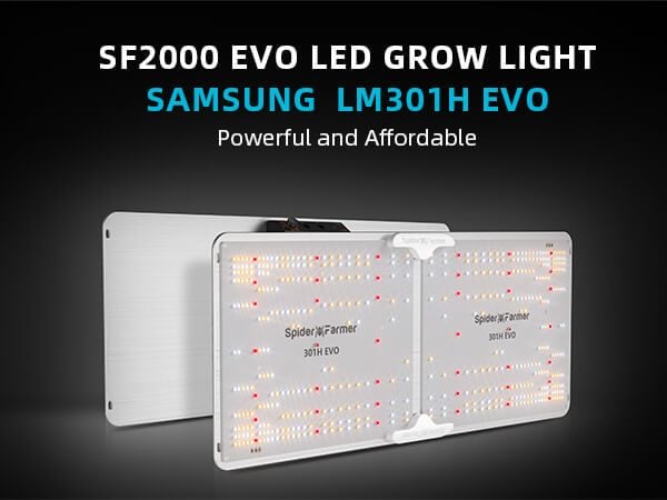 spider farmer SF2000 samsung lm301H evo LED grow light 02