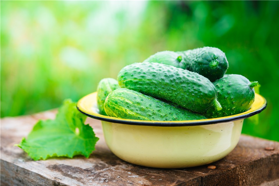 Cucumbers Are Light Green