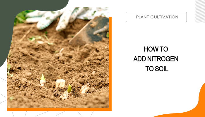 How to Add Nitrogen to Soil