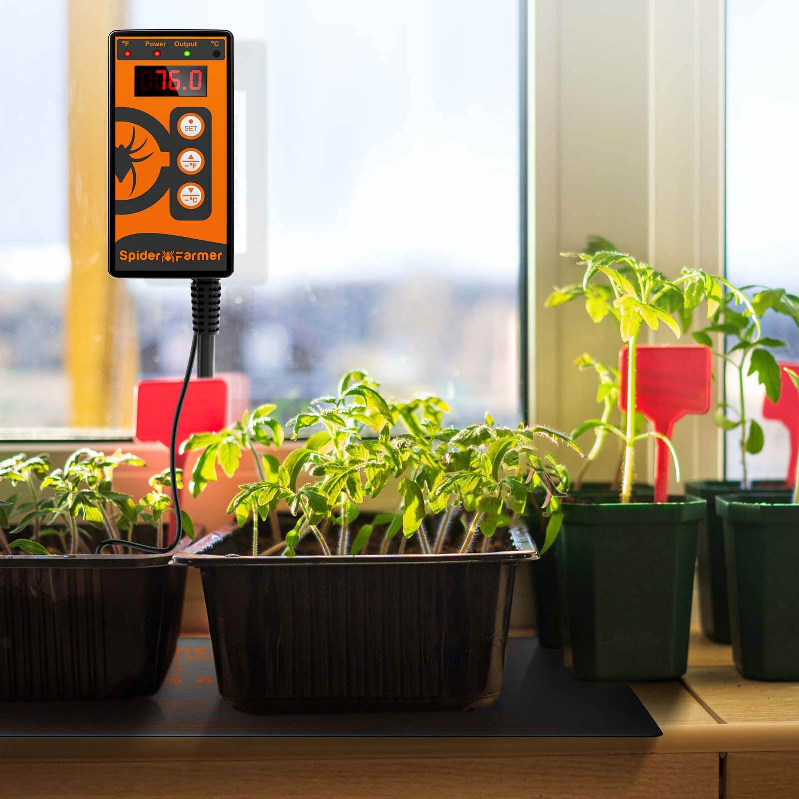 Spider-Farmer-Seedling-Heat-Mat-10X20.75-1pack-with-controller-1-removebg- (5)