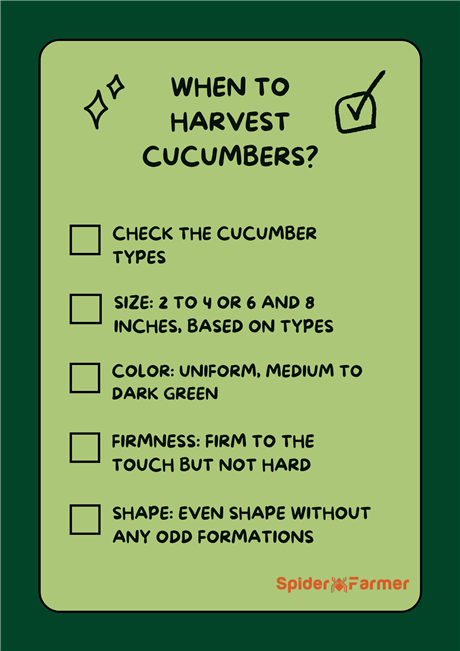 How Do You Know When to Pick a Cucumber?