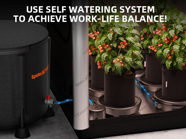 self-watering-system-3
