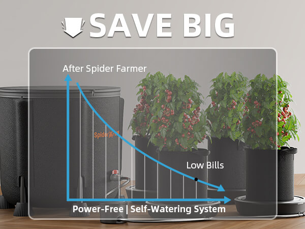 self-watering-system-4