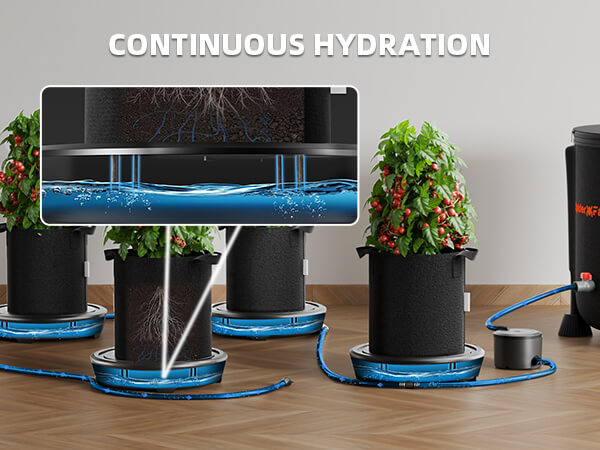 self-watering-system-5